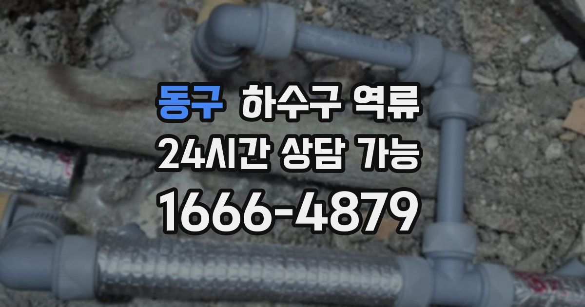 동구 하수구 역류