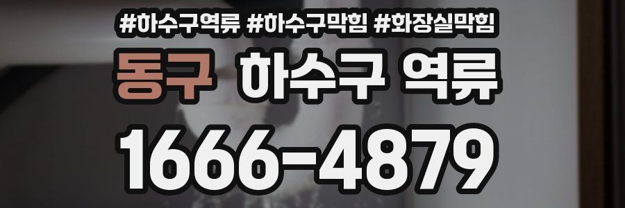 동구 하수구 역류