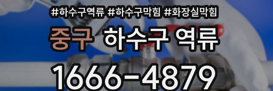 중구 하수구 역류