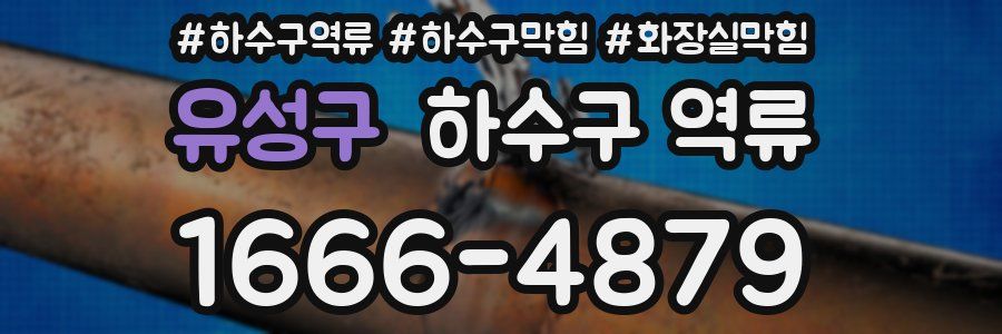 유성구 하수구 역류