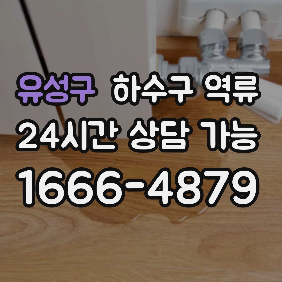 유성구 하수구 역류