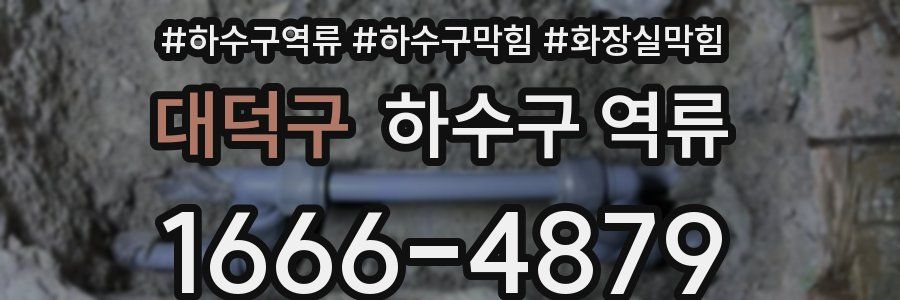 대덕구 하수구 역류