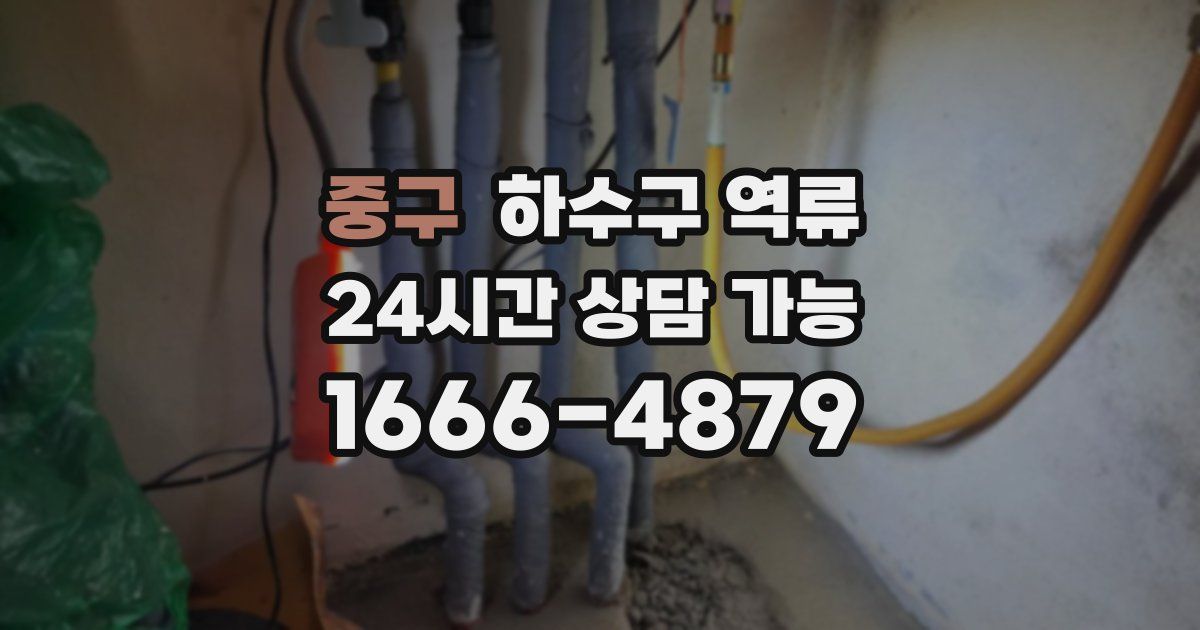 중구 하수구 역류