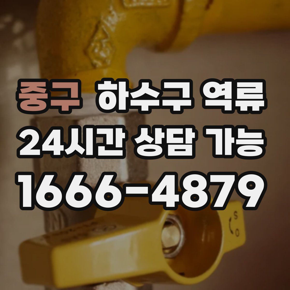 중구 하수구 역류