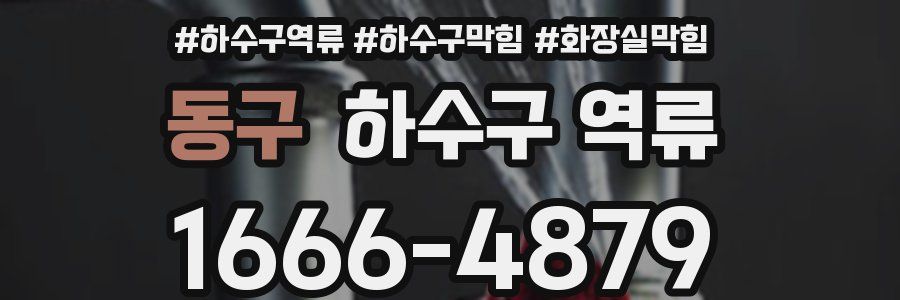 동구 하수구 역류