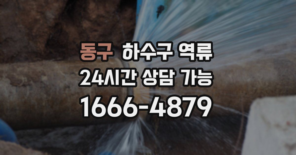 동구 하수구 역류