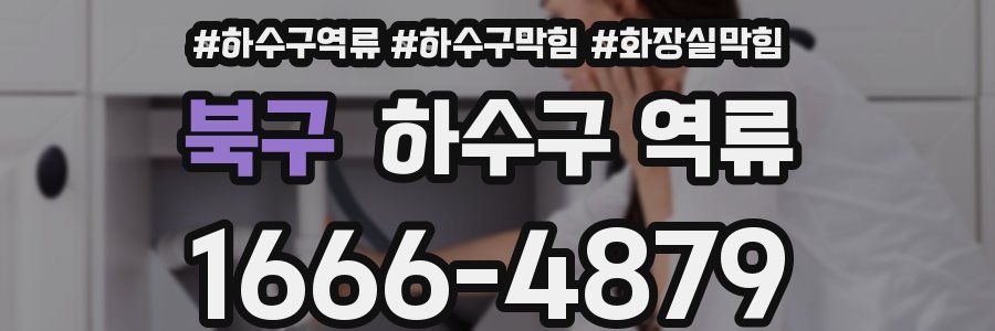 북구 하수구 역류