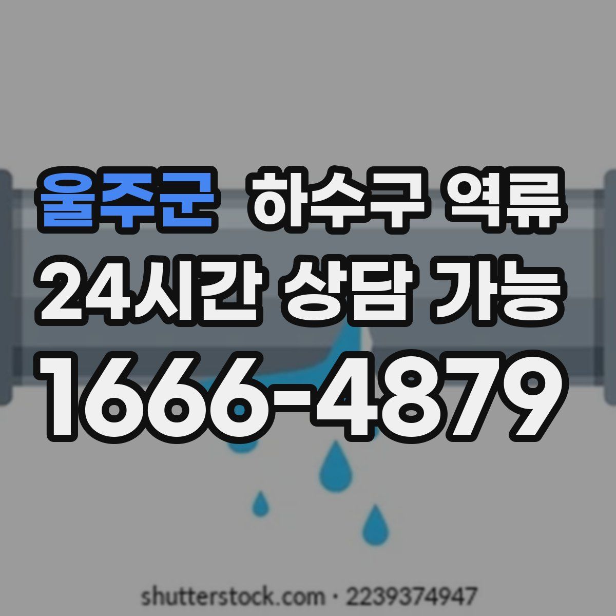 울주군 하수구 역류