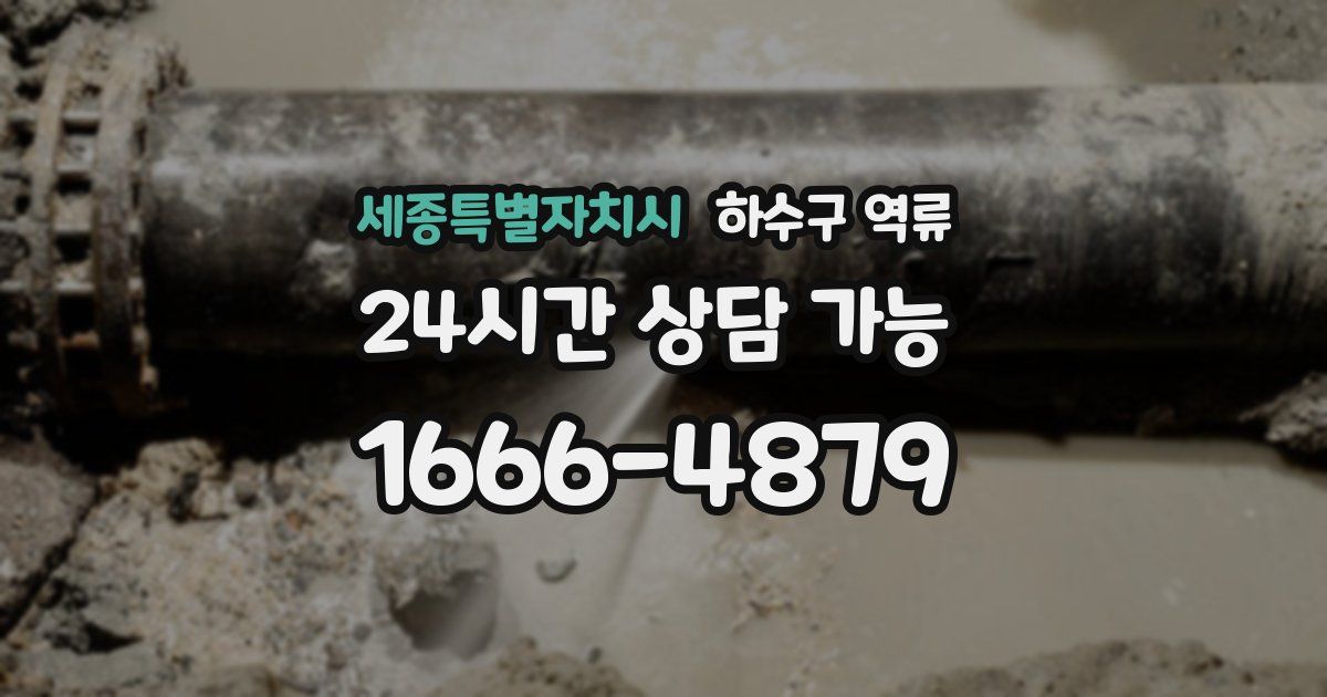 세종특별자치시 하수구 역류