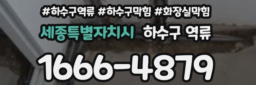 세종특별자치시 하수구 역류