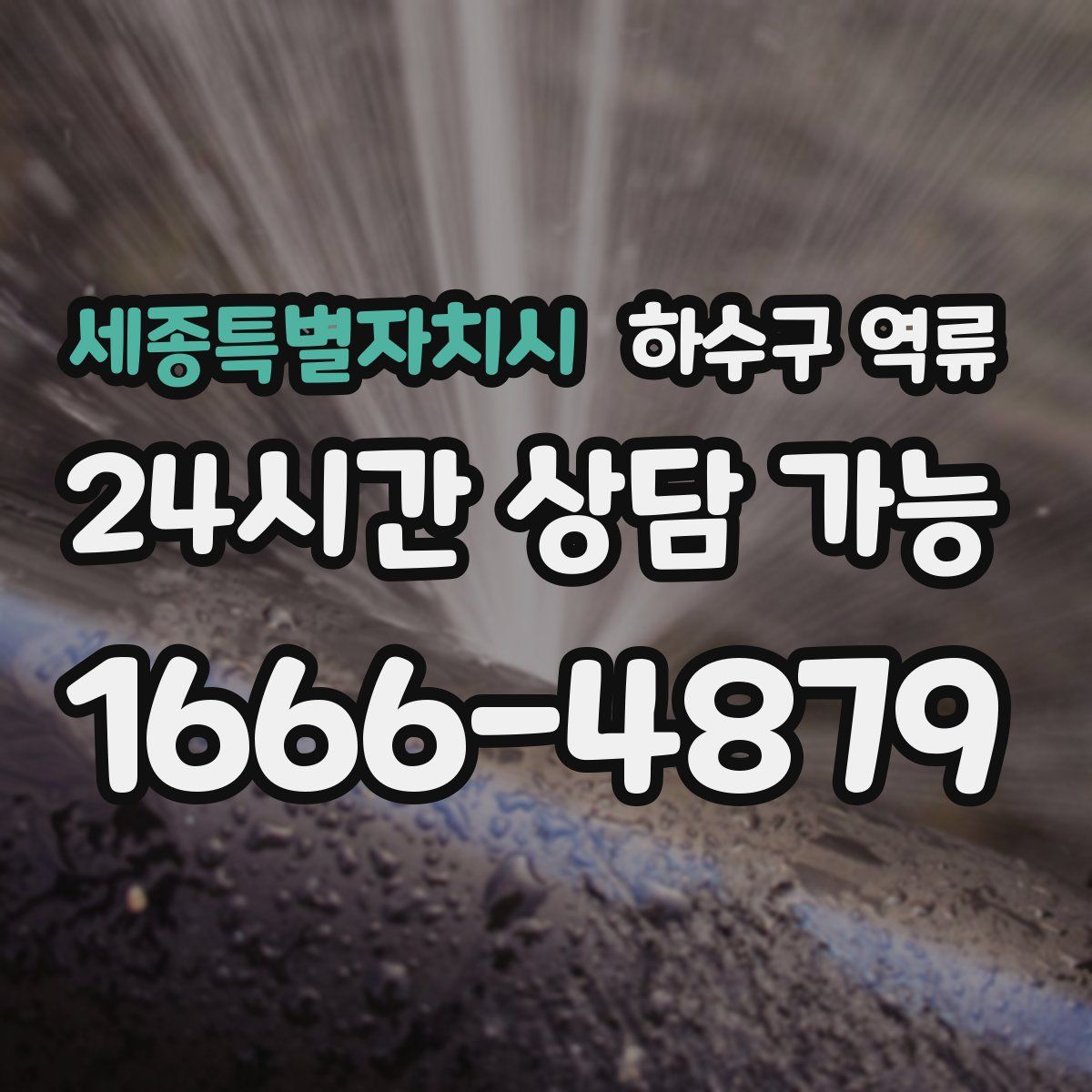 세종특별자치시 하수구 역류