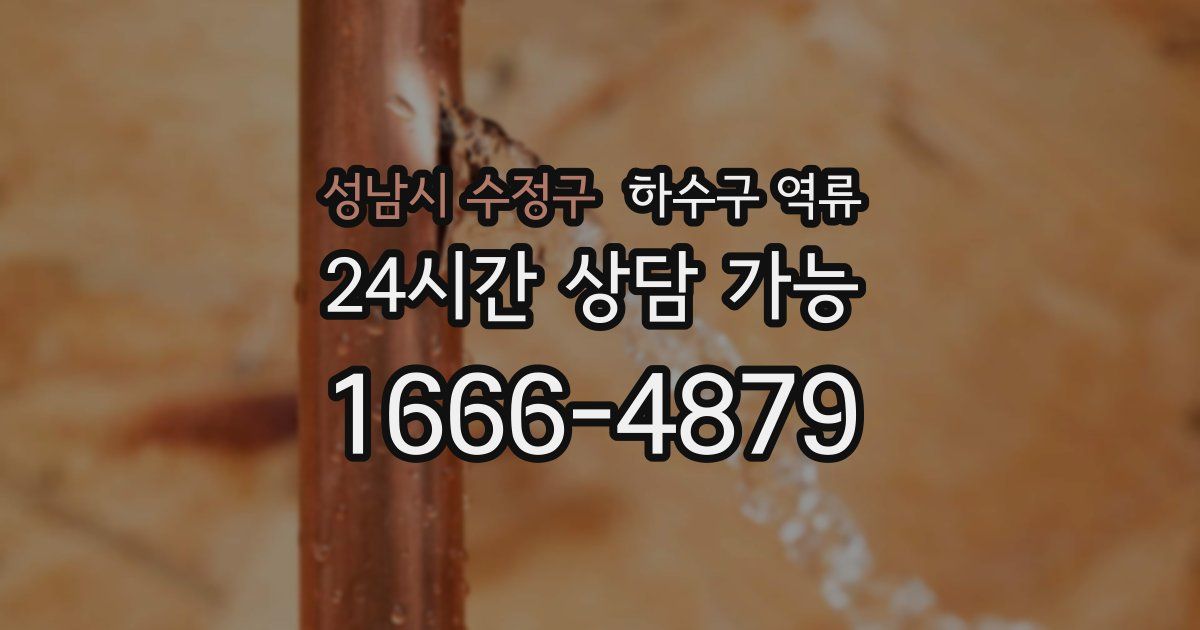 성남시 수정구 하수구 역류