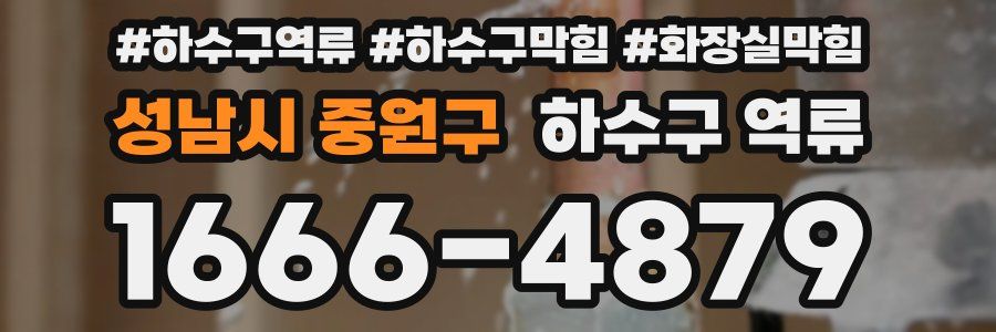 성남시 중원구 하수구 역류