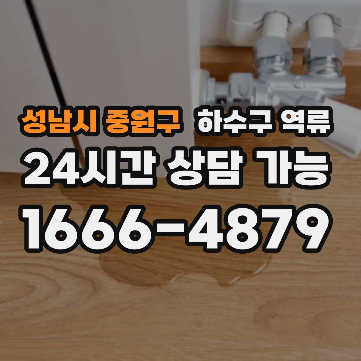 성남시 중원구 하수구 역류