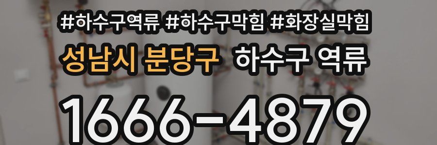 성남시 분당구 하수구 역류