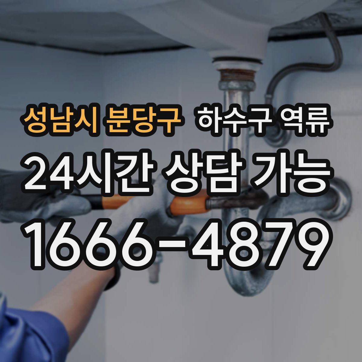 성남시 분당구 하수구 역류