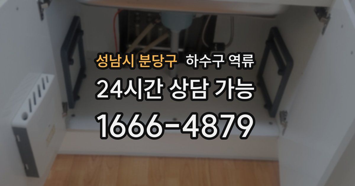 성남시 분당구 하수구 역류