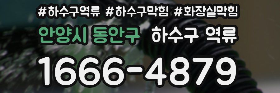 안양시 동안구 하수구 역류