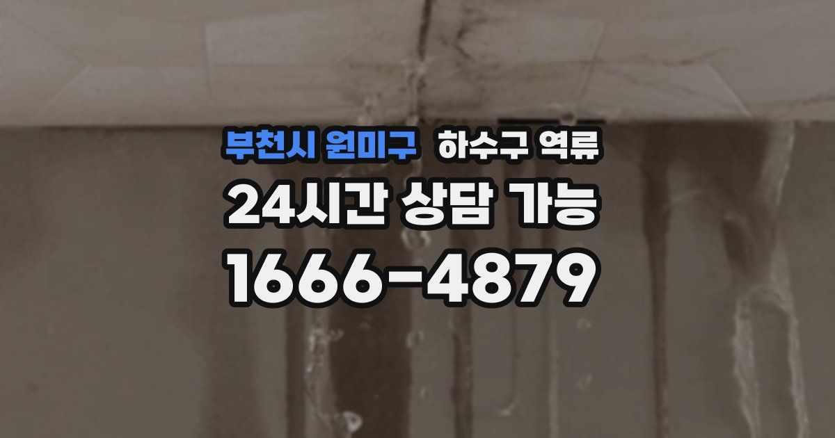 부천시 원미구 하수구 역류