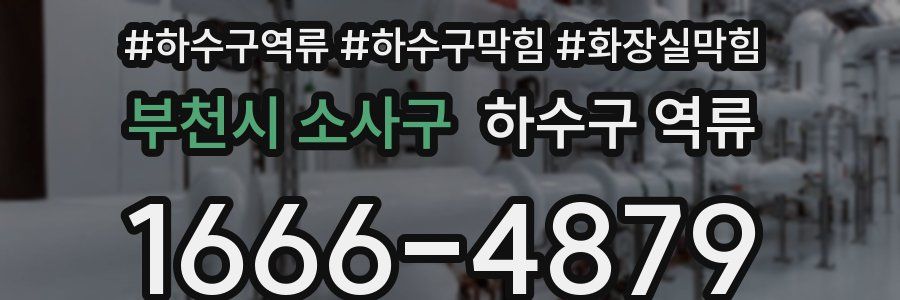 부천시 소사구 하수구 역류