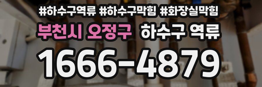 부천시 오정구 하수구 역류