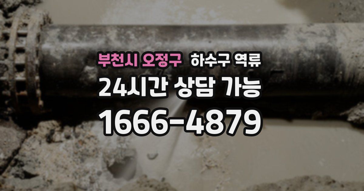 부천시 오정구 하수구 역류