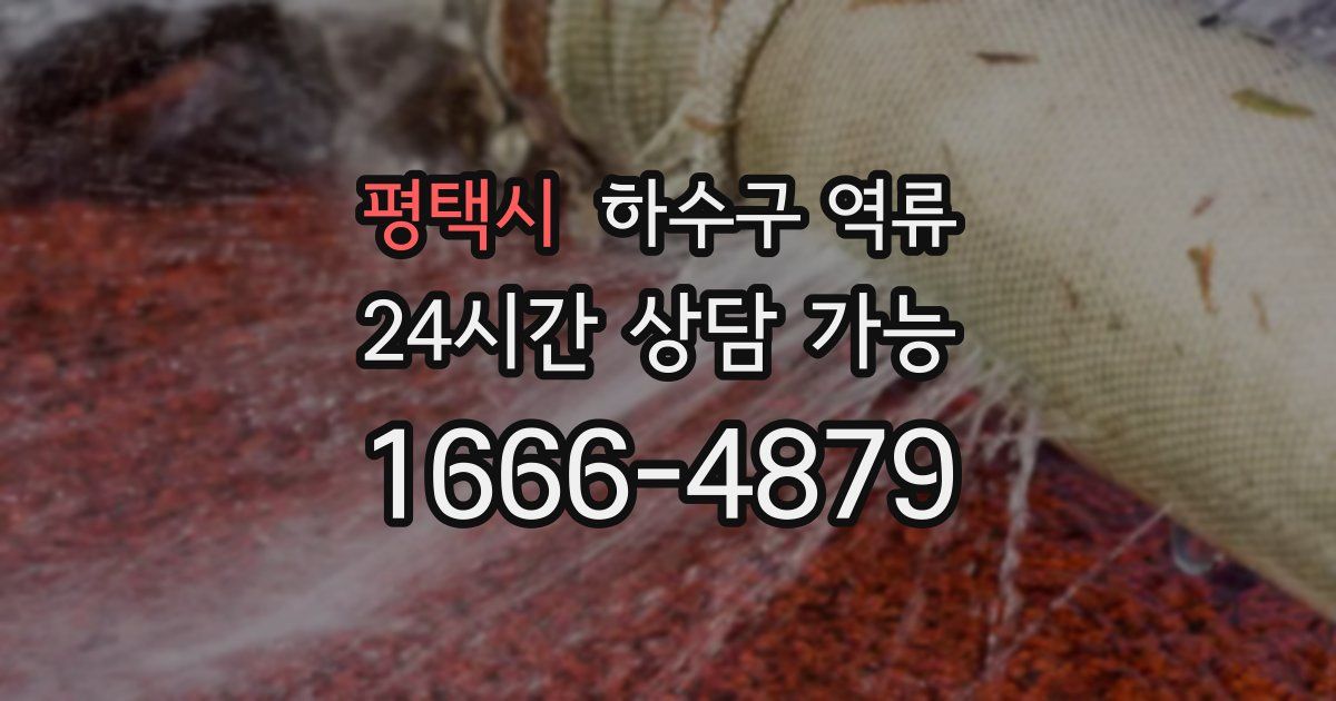 평택시 하수구 역류