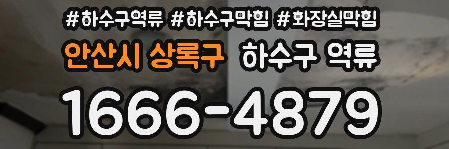 안산시 상록구 하수구 역류