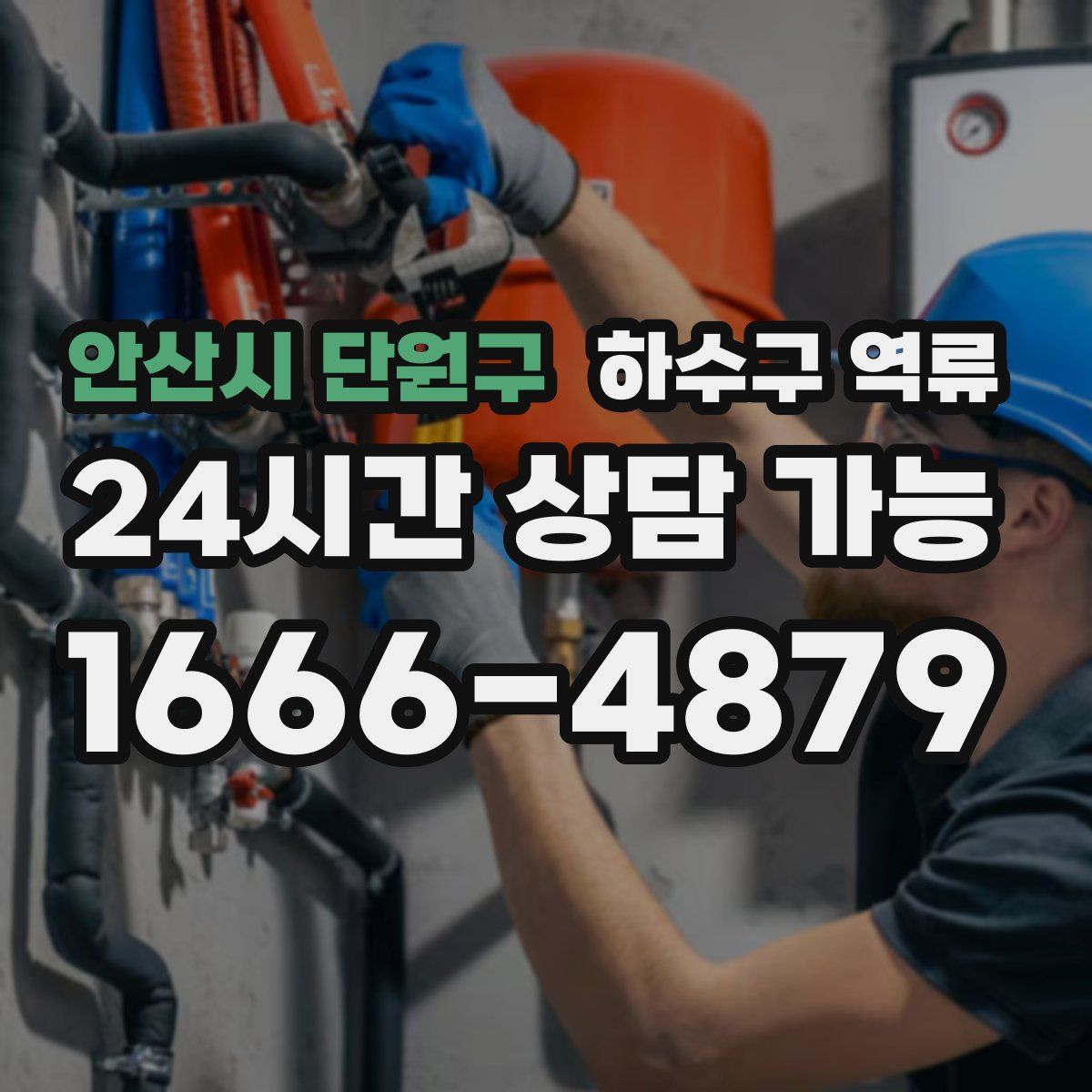 안산시 단원구 하수구 역류