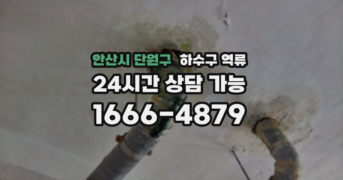 안산시 단원구 하수구 역류