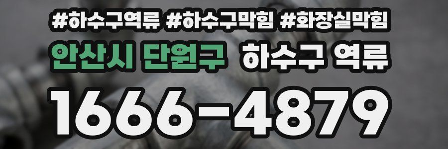 안산시 단원구 하수구 역류