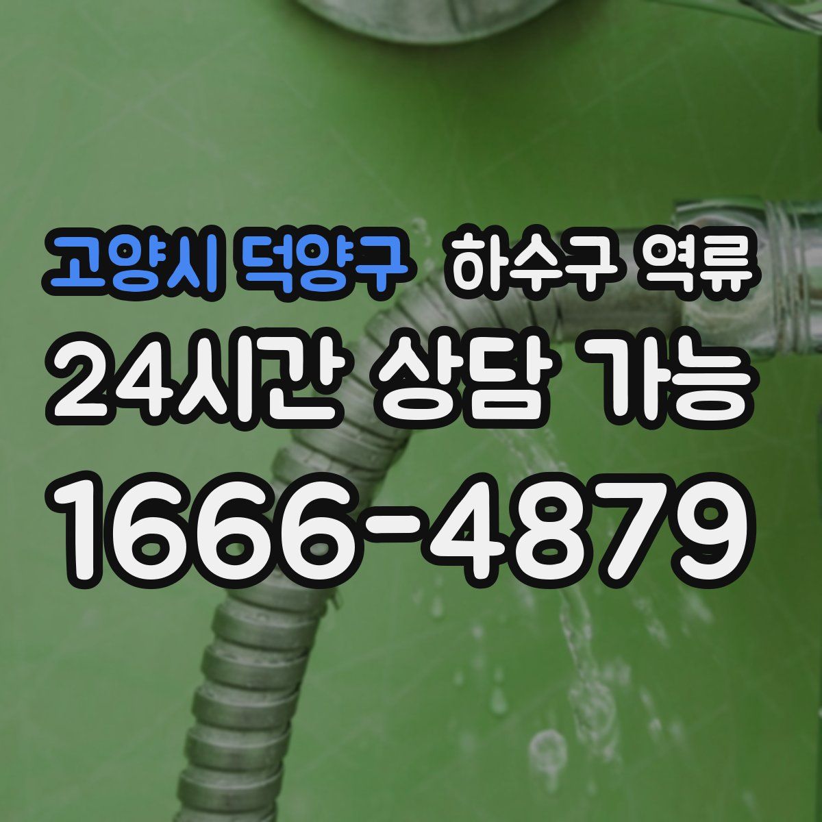 고양시 덕양구 하수구 역류