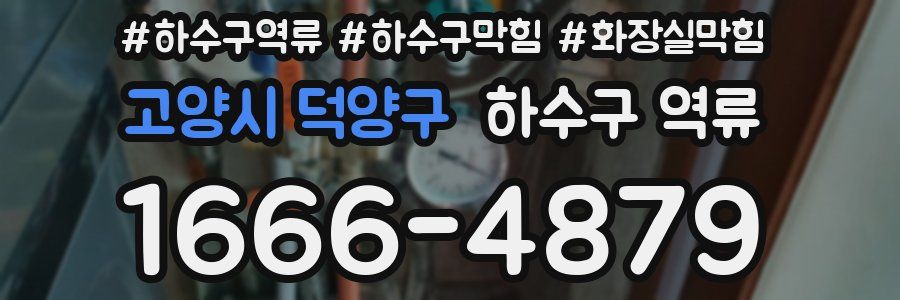 고양시 덕양구 하수구 역류