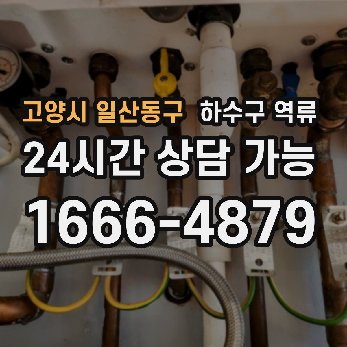 고양시 일산동구 하수구 역류