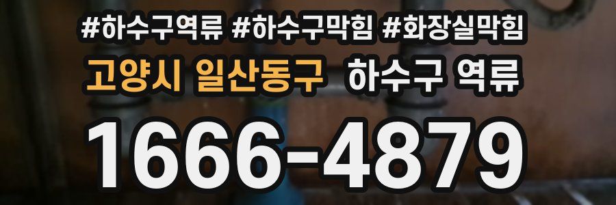 고양시 일산동구 하수구 역류