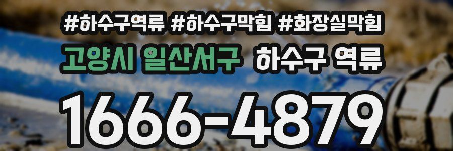 고양시 일산서구 하수구 역류