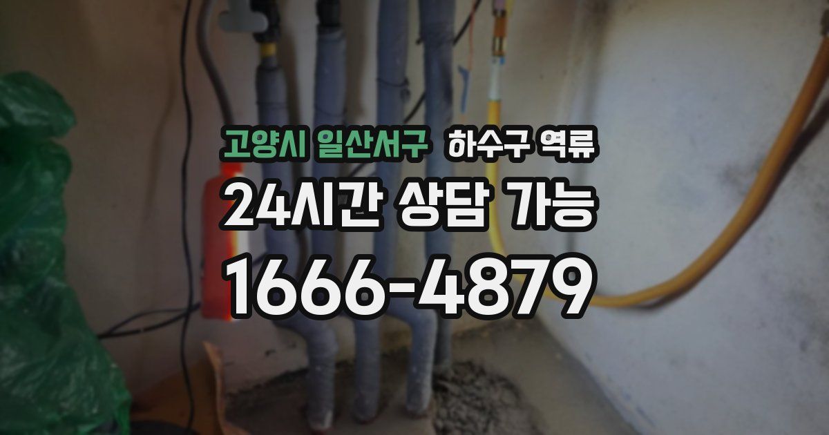 고양시 일산서구 하수구 역류