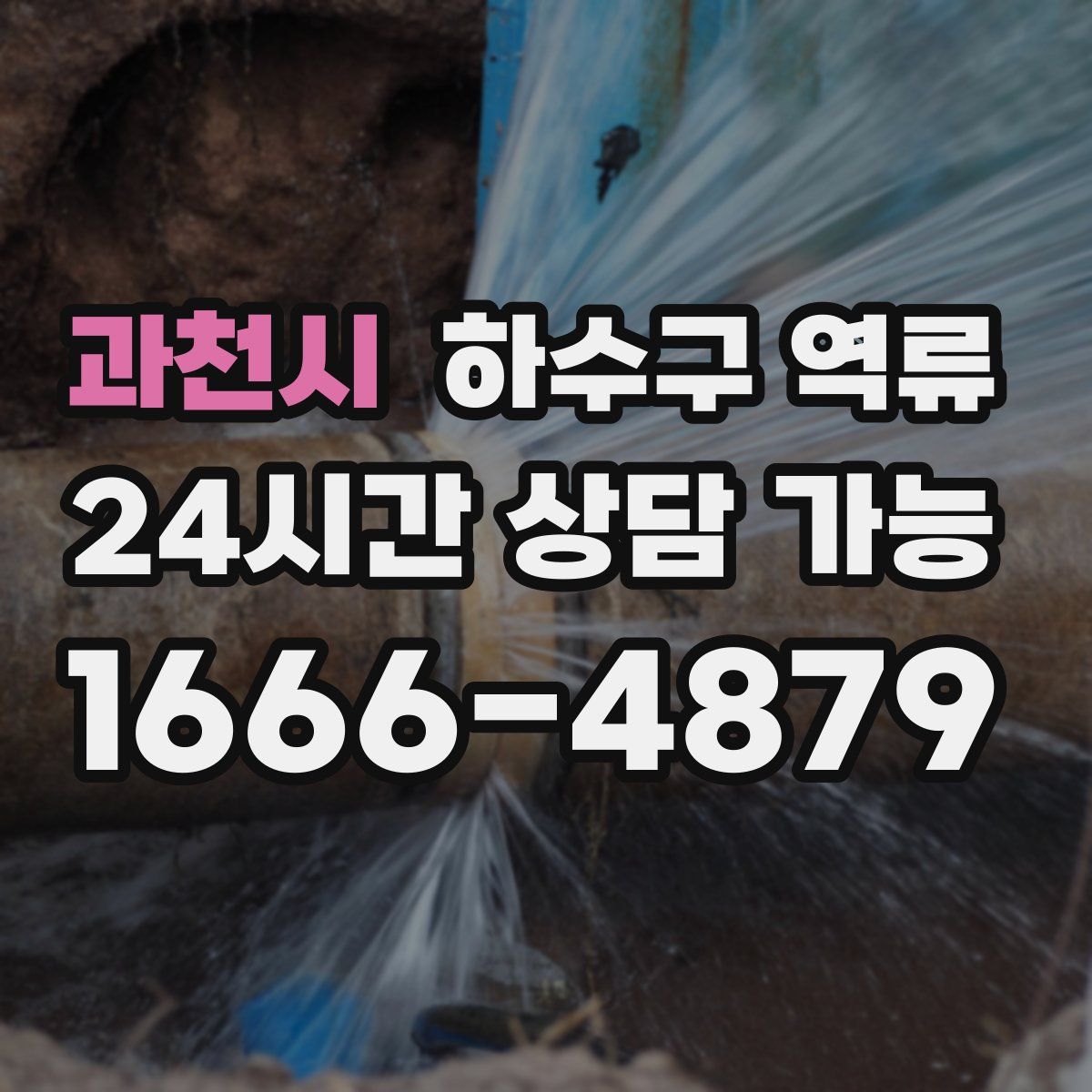 과천시 하수구 역류