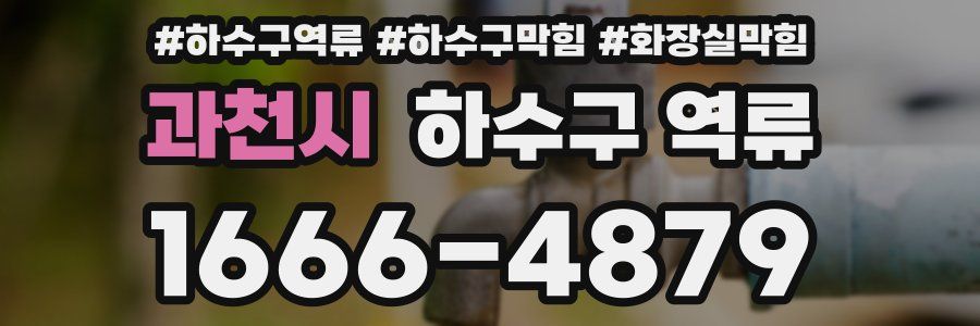 과천시 하수구 역류