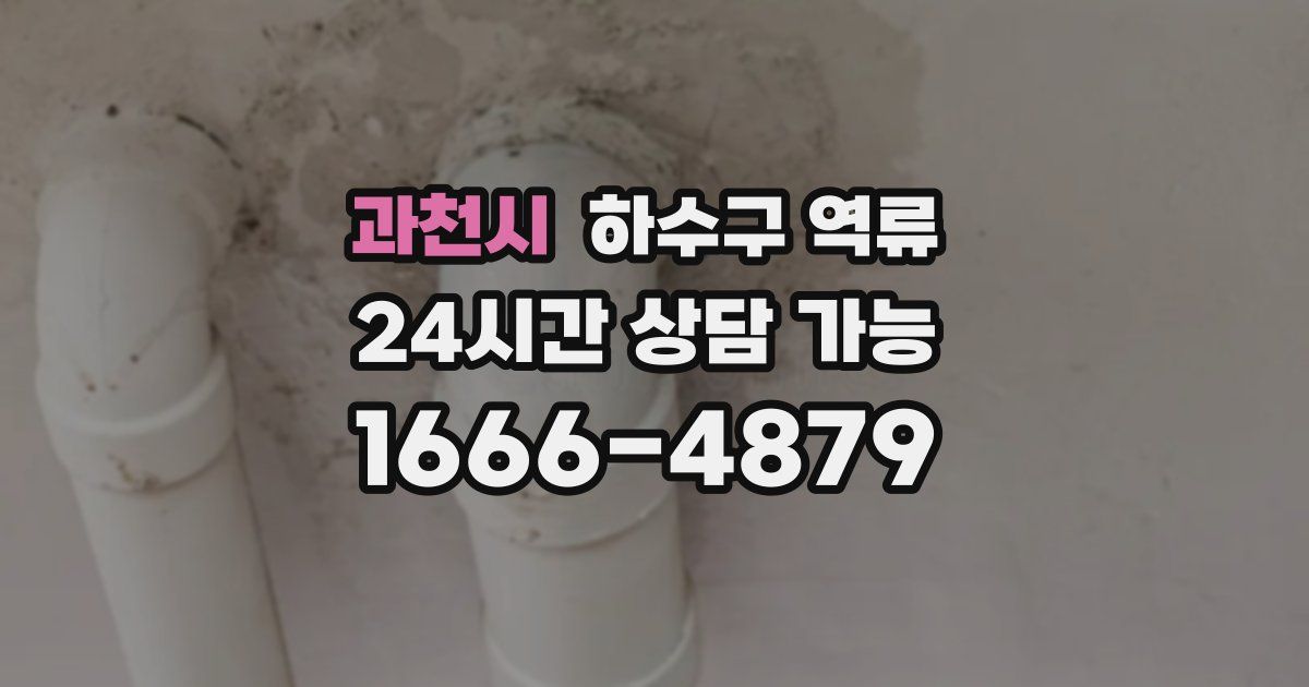 과천시 하수구 역류