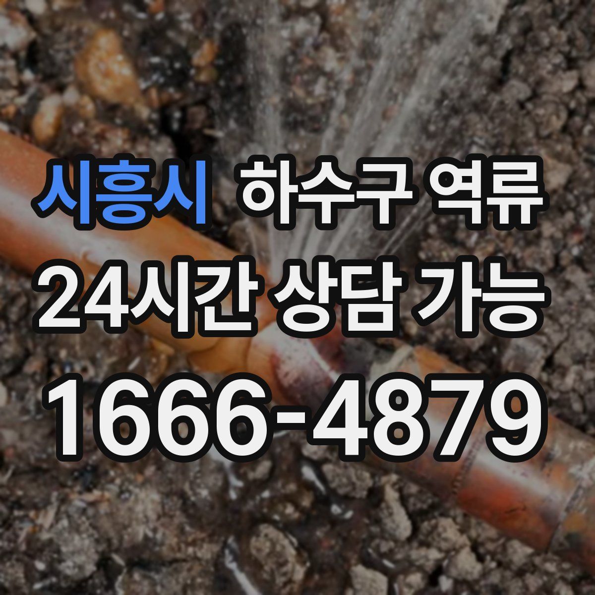 시흥시 하수구 역류