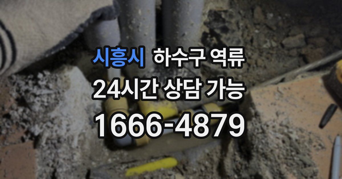 시흥시 하수구 역류