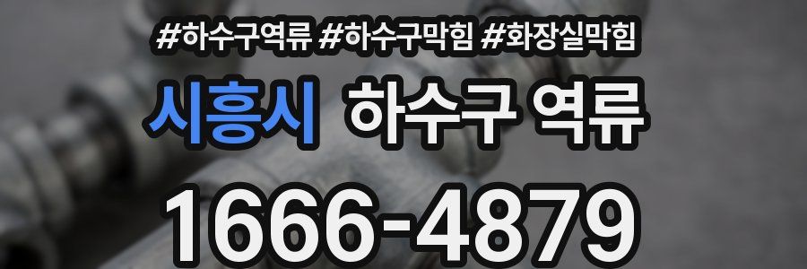 시흥시 하수구 역류