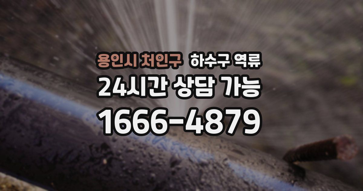 용인시 처인구 하수구 역류