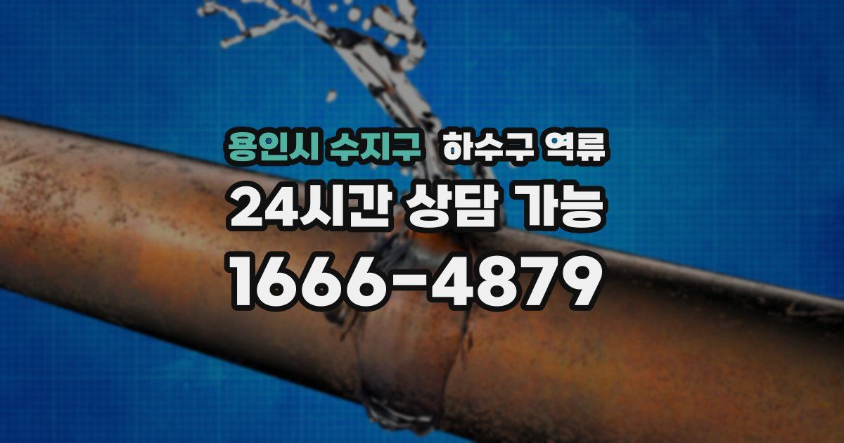 용인시 수지구 하수구 역류