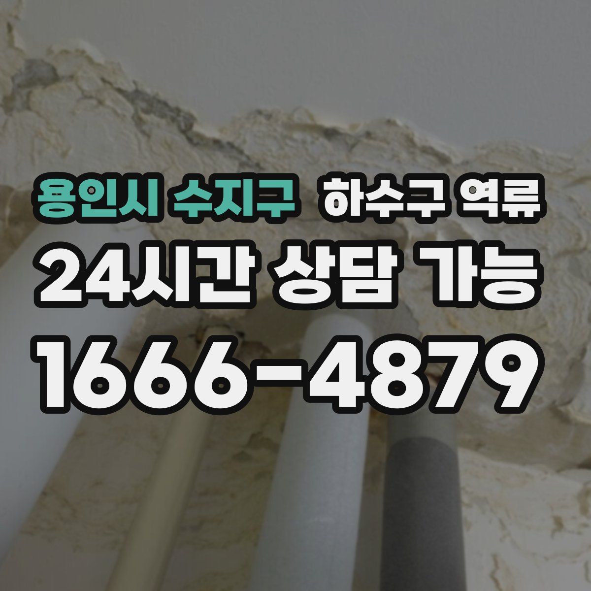 용인시 수지구 하수구 역류