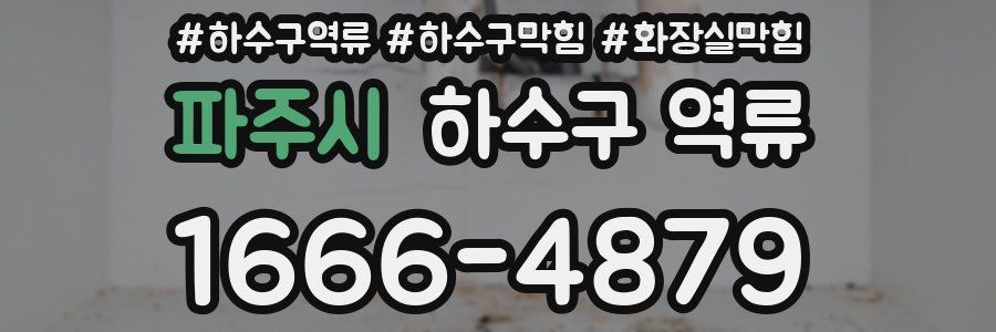 파주시 하수구 역류