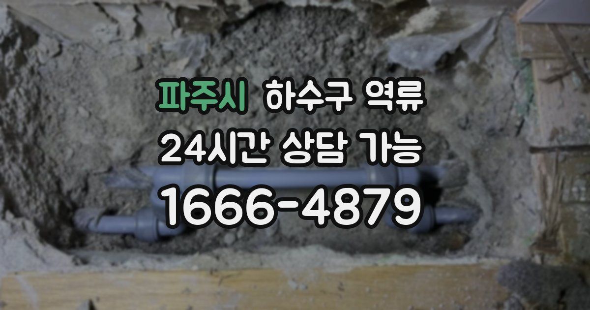 파주시 하수구 역류