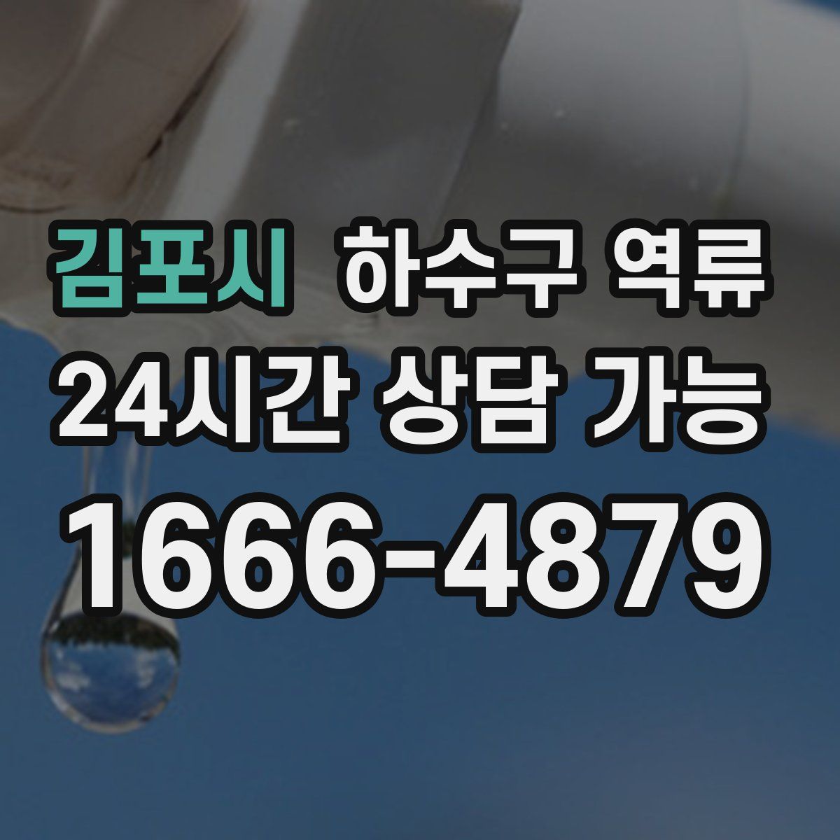 김포시 하수구 역류