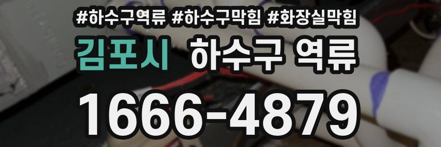 김포시 하수구 역류